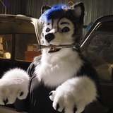 gravitystormhusky from onlyfans
